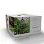 solar light with light Sensor